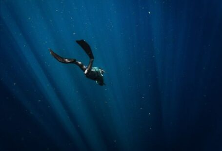 Diving - man in black wetsuit swimming in blue water