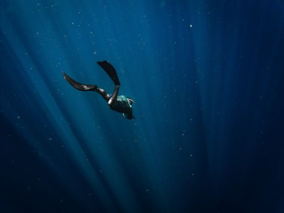 Diving - man in black wetsuit swimming in blue water