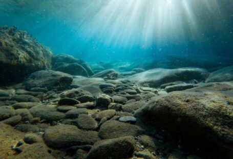 Underwater - rocks on sea bed