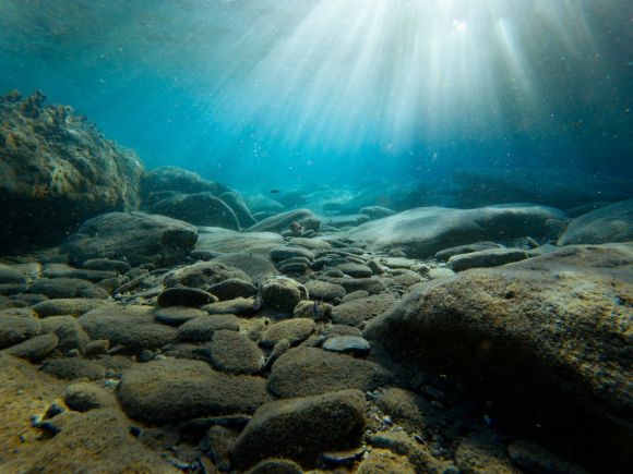 Underwater - rocks on sea bed