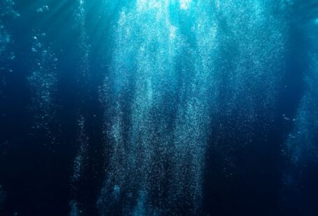 Underwater - photography of blue water