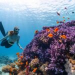 Underwater - a woman scubas over a colorful coral reef