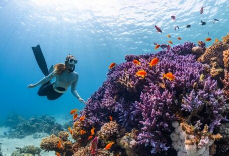 Underwater - a woman scubas over a colorful coral reef