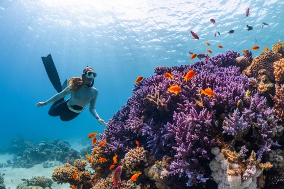 Underwater - a woman scubas over a colorful coral reef