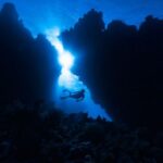 Underwater - a person swimming in the water near a coral reef