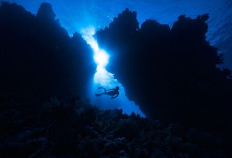 Underwater - a person swimming in the water near a coral reef