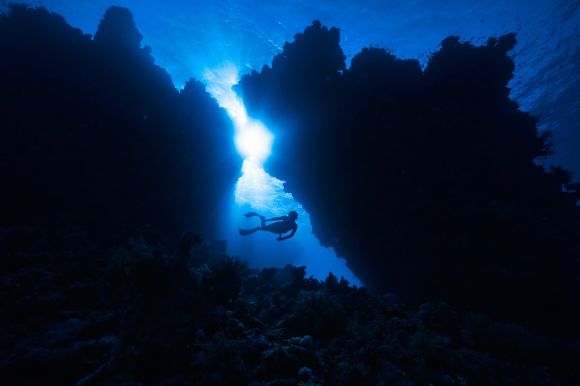 Underwater - a person swimming in the water near a coral reef