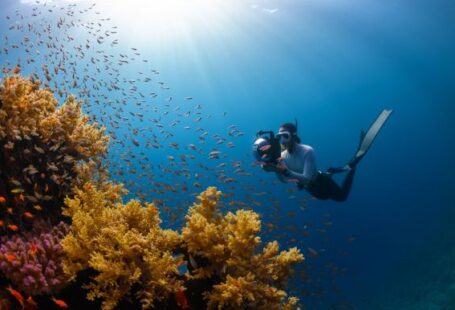 Diving - a person swimming in the ocean with a lot of fish