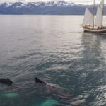 Underwater Navigation - Aerial view of beautiful white traditional sailboat with passengers floating on rippling sea during whale watching tour