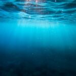 Underwater - clear blue body of water