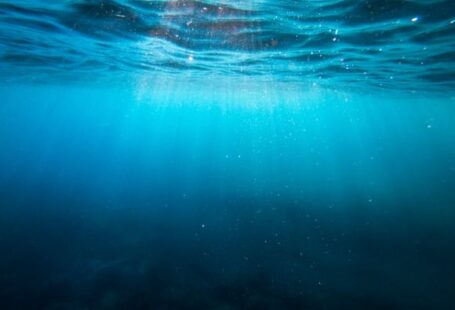 Underwater - clear blue body of water