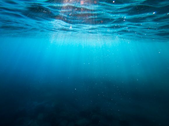 Underwater - clear blue body of water