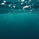 Garbage In The Sea - photo of underwater