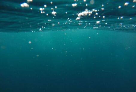 Garbage In The Sea - photo of underwater