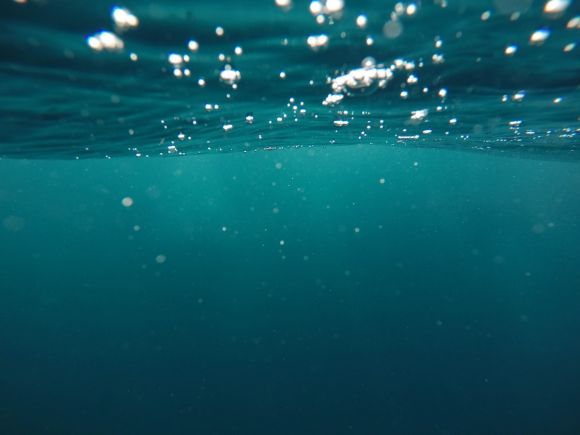 Garbage In The Sea - photo of underwater