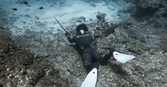 Underwater Hunting - A Diver Hunting Underwater