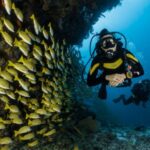 Diving - two people scuba diving underwater