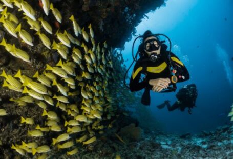 Diving - two people scuba diving underwater