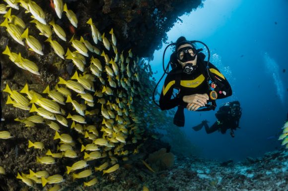 Diving - two people scuba diving underwater