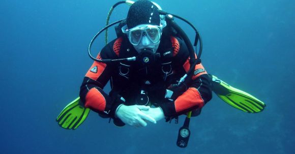 Diving - Human in Black Orange Swimming Suit in Blue Body of Water