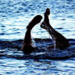 Diving - Person Swimming on Body of Water
