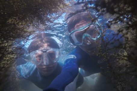 Diving - Photo of Two People Snorkeling.