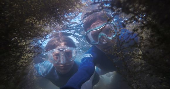 Diving - Photo of Two People Snorkeling.