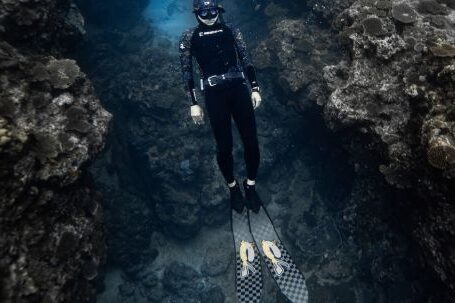 Snorkeling - Diver Swimming in the Ocean