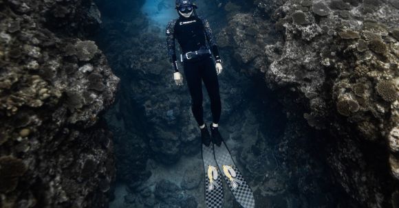 Snorkeling - Diver Swimming in the Ocean