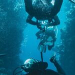 Coral Reef - Photo Of People Swimming Underwater