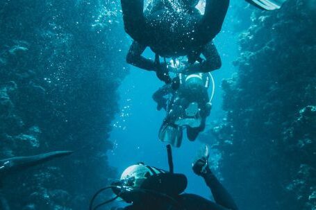 Coral Reef - Photo Of People Swimming Underwater