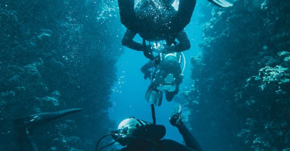 Coral Reef - Photo Of People Swimming Underwater