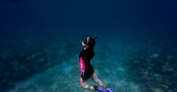 Snorkeling - Woman in Black and Pink Swimsuit Underwater