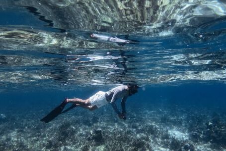 Snorkeling - Man in Water