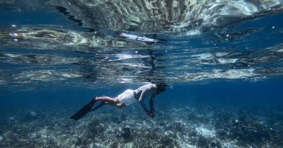 Snorkeling - Man in Water