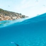 Snorkeling - Man Swimming