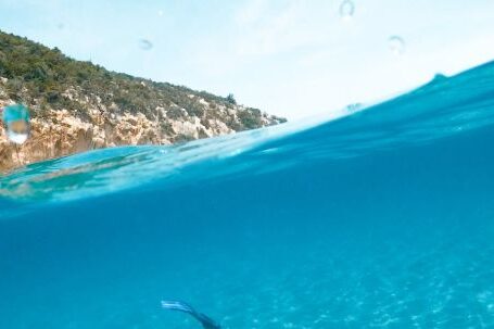 Snorkeling - Man Swimming