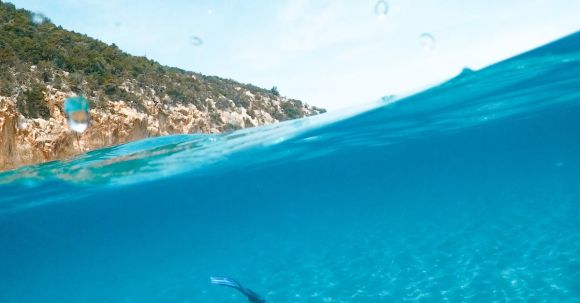 Snorkeling - Man Swimming