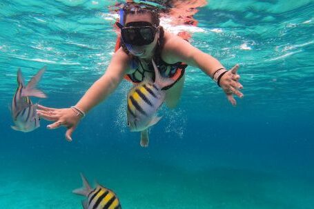 Diving Mask - Snorkeling in Cozumel