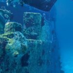 Shipwrecks For Diving - A Diver Checking a Sunken Ship