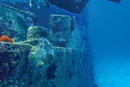 Shipwrecks For Diving - A Diver Checking a Sunken Ship