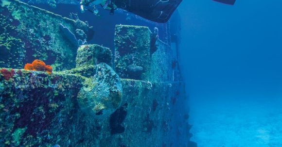 Shipwrecks For Diving - A Diver Checking a Sunken Ship