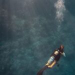 Diving - Person Diving on Ocean