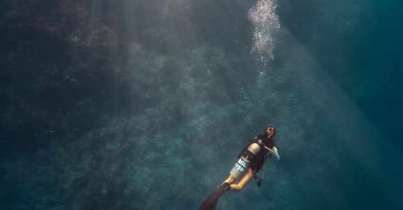 Diving - Person Diving on Ocean