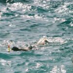 Snorkeling - Person Snorkeling near Rock on Shore
