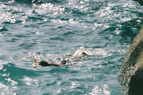 Snorkeling - Person Snorkeling near Rock on Shore