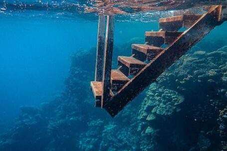 Diving Locations - View Of Wooden Steps Taken Underwater
