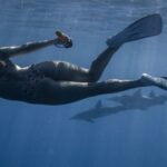 Snorkel - Back view of unrecognizable female traveler in swimwear and snorkeling mask and flippers swimming underwater of blue sea near group of dolphins during diving