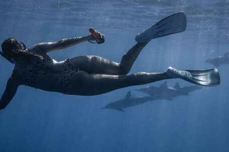 Snorkel - Back view of unrecognizable female traveler in swimwear and snorkeling mask and flippers swimming underwater of blue sea near group of dolphins during diving
