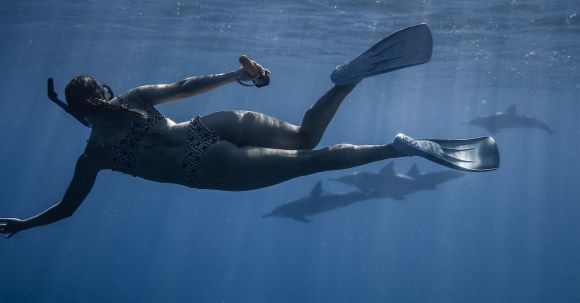 Snorkel - Back view of unrecognizable female traveler in swimwear and snorkeling mask and flippers swimming underwater of blue sea near group of dolphins during diving